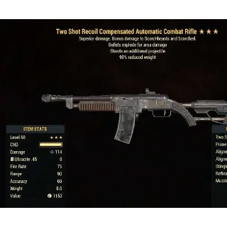 Weapon | TSE 90 Combat Rifle