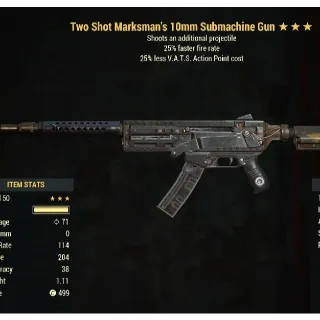 Weapon | Two Shot 25/25 10mm SMG