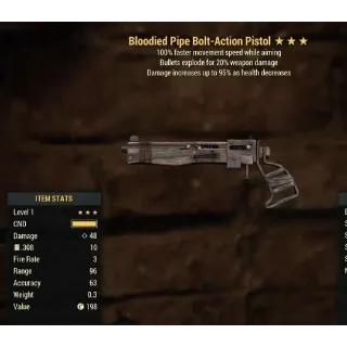 Weapon | Level1 BE FMSA Bolt Pipe
