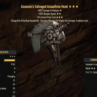 Assassin's 25/25 Head