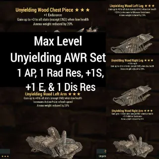 Apparel | Unyielding Ammo Set