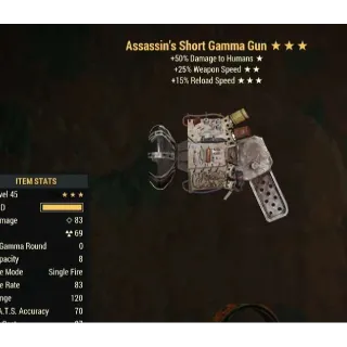Weapon | Assassin's FFR FR Gamma