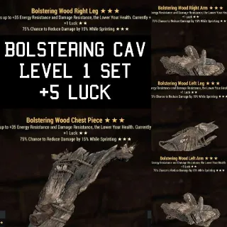 Apparel | Level 1 Bolstering L Cav