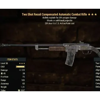 Weapon | TSE 25 Combat Rifle