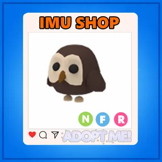 NFR Owl - Adopt Me!