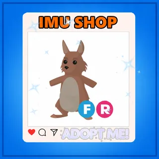 FR KANGAROO - ADOPT ME