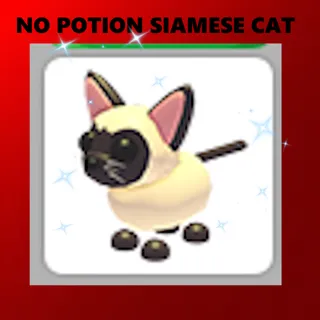 SIAMESE CAT - ADOPT ME
