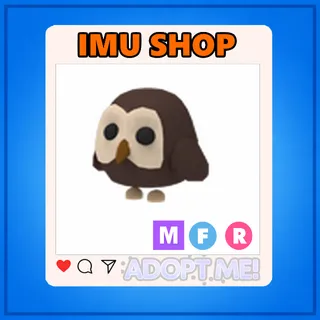 MFR Owl - Adopt Me!