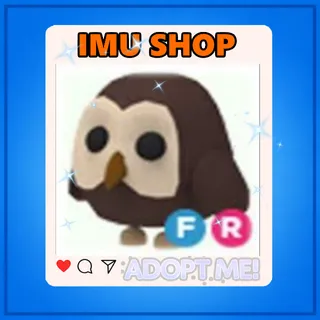 FR OWL - ADOPT ME