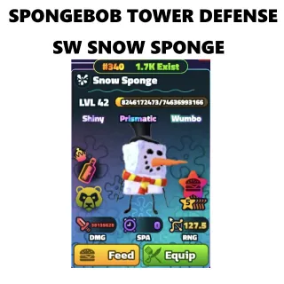SW SNOW SPONGE