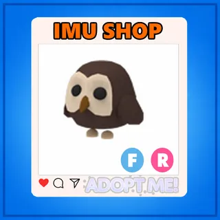 FR Owl - Adopt Me!