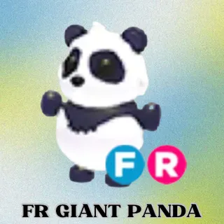 FR Giant Panda