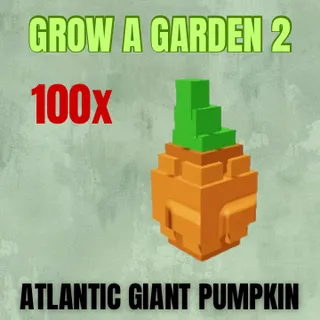 100x Atlantic Giant Pumpkin Seed