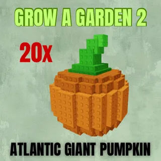 20x Atlantic Giant Pumpkin