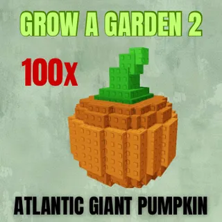 100x Atlantic Giant Pumpkin