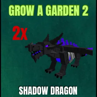 2x Shadow Dragon
