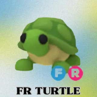 FR Turtle
