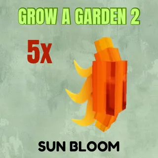 5x Sun Bloom