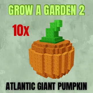 10x Atlantic Giant Pumpkin