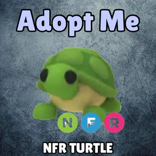 NFR Turtle