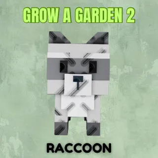 Raccoon