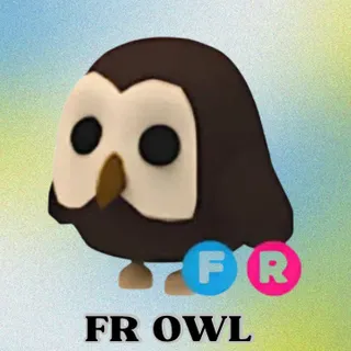FR Owl