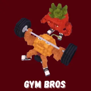 Gym Bros