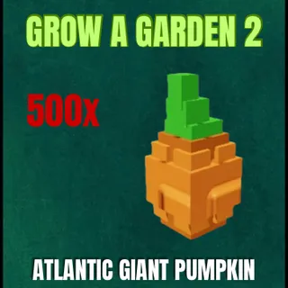 500x Atlantic Giant Pumpkin