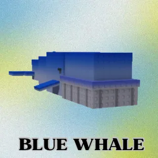 Huge / Titanic Blue Whale 60KG+