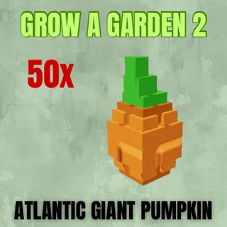 50x Atlantic Giant Pumpkin Seed