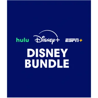 Disney Bundle Trio Basic 3 month subscription