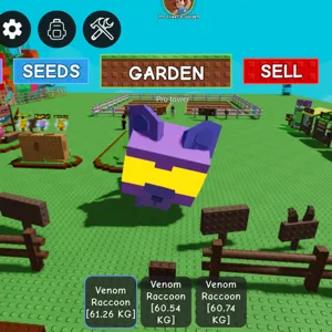 2 raccoons both 60 kg