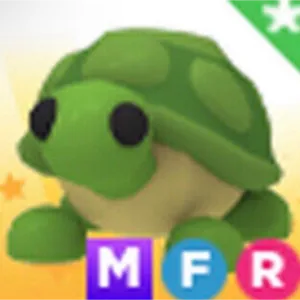 mfr turtle