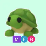 mfr turtle