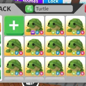 Mega turtle bundle