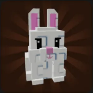 rabbit