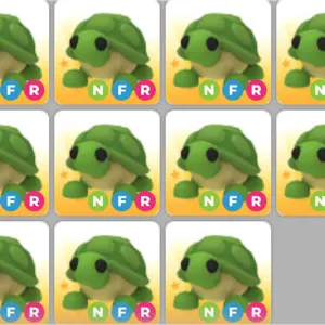 11x nfr turtle