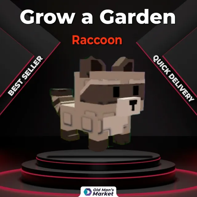 Raccoon - Roblox Game Item - Gameflip
