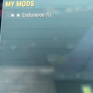 5x Endurance Mods