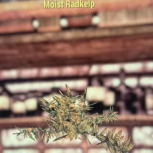 moist radkelp