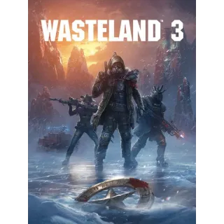 Wasteland 3 [Global Steam Key and Instant delivery]