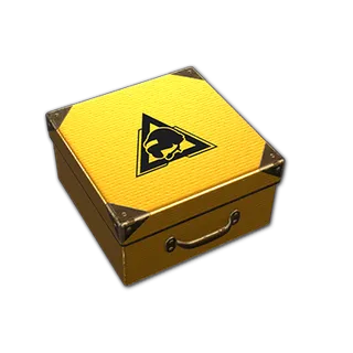 PUBG STEAM  Crate X1