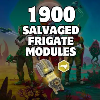 1900 SALVAGED FRIGATE MODULES