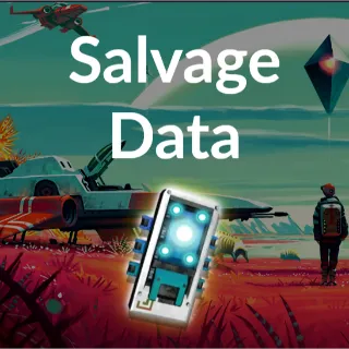 x500 Salvaged Data