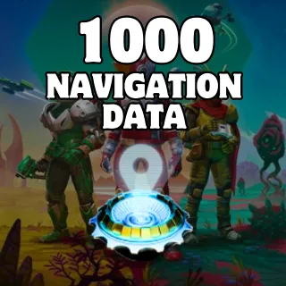 1000 NAVIGATION DATA