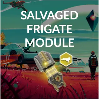 500 Salvaged Frigate Modules