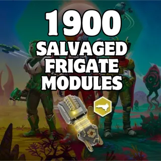 1900 SALVAGED FRIGATE MODULES