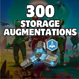 300 STORAGE AUGMENTATIONS