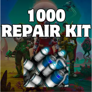 1000 Repair Kit