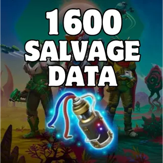 1600 SALVAGED DATA